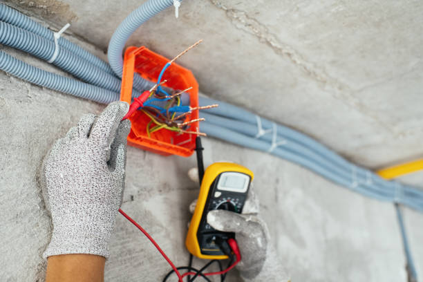 Best Electrician for Home Renovation  in Aldan, PA